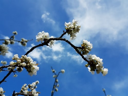 Julien CAZALE - Hypnopraticien, Naturopathe et iridologue - Montesquieu Volvestre