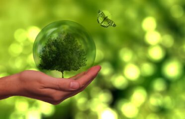 Ecole de Naturopathie Holistique "La Natur’O Naturelle", Trouver un thérapeute